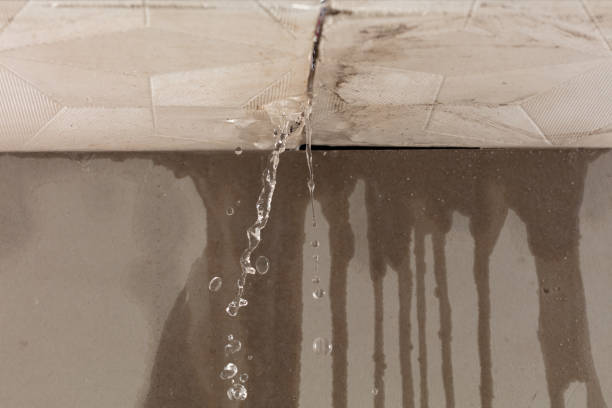 Professional Commercial Water Damage Restoration technician working in College Place, WA